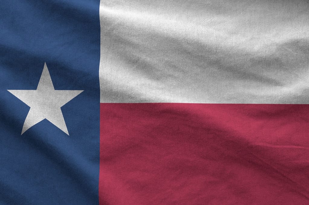 christy singrey Big Brothers Big Sisters Lone Star Begins CEO Search